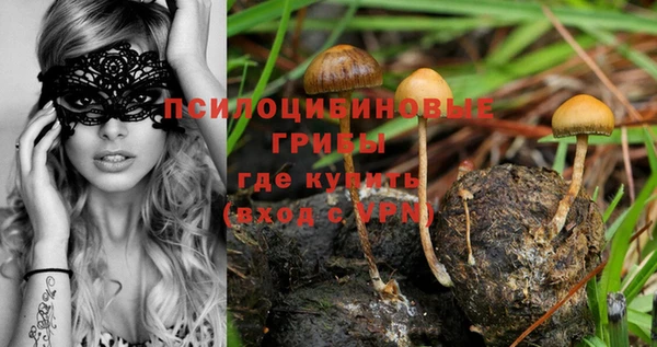 эйфоретик Алексеевка