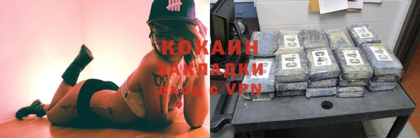 гидропоника Алзамай