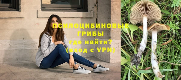эйфоретик Алексеевка