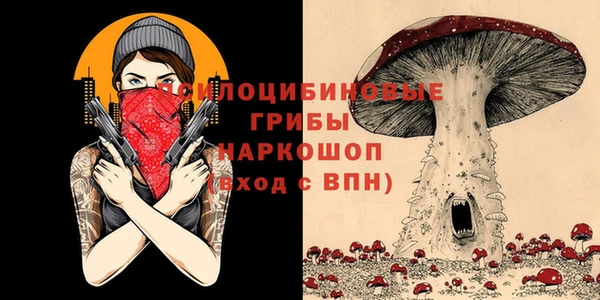 эйфоретик Алексеевка