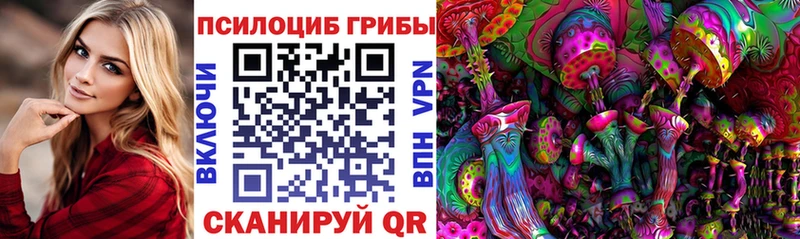 где продают   Гурьевск  kraken рабочий сайт  Псилоцибиновые грибы Psilocybine cubensis 