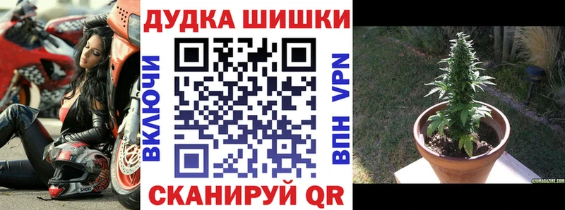 закладки  Гурьевск  Бошки марихуана конопля 